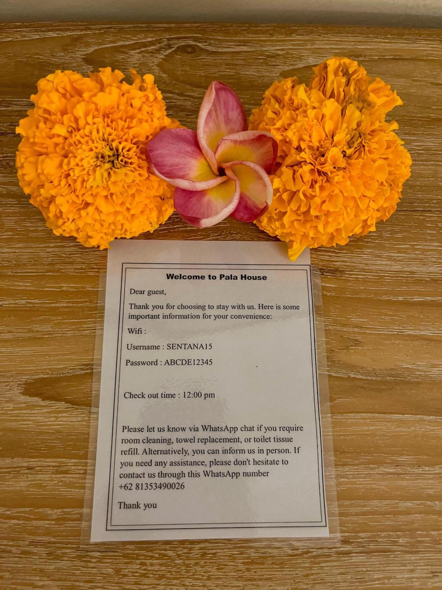 Pala House Apartman Ubud Kültér fotó